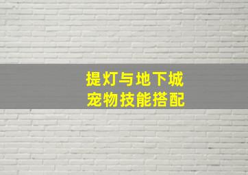 提灯与地下城 宠物技能搭配